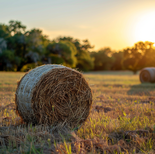 PSA: Large Round Grass Hay to send to those affected by the wildfires in Texas.