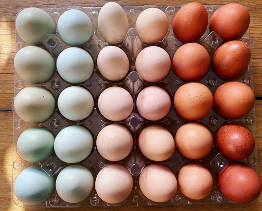 Farm Fresh Eggs, Assorted Colored